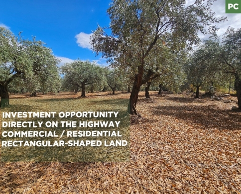 Prime Land/plot of olive trees/ rectangular layout/mountain view/ZGHARTA/زغرتا /REF#PC141303