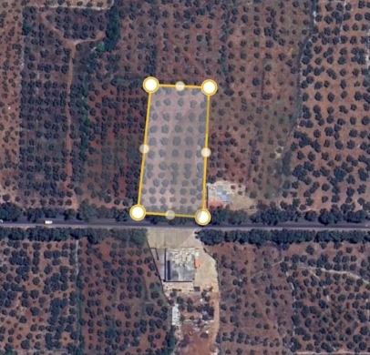 Prime Land/plot of olive trees/ rectangular layout/mountain view/ZGHARTA/زغرتا /REF… — 4
