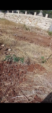 Prime land for sale in Qalamoun