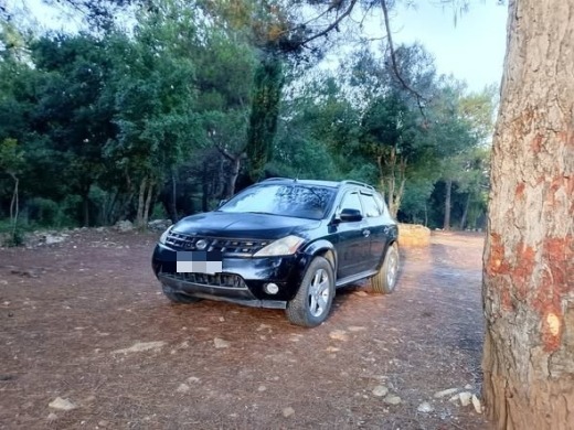 Nissan Murano 2003 — 3