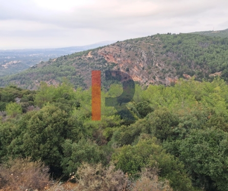 R9-3994 Land for Sale in Karm Saddeh Zgharta | 4,000 m² | 25/50 Zoning — 4