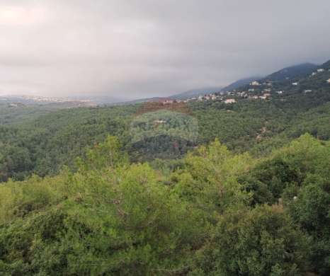 R9-3994 Land for Sale in Karm Saddeh Zgharta | 4,000 m² | 25/50 Zoningأرض للبيع في كرم سده زغرتا | 4,000 م² | تصنيف 25/50