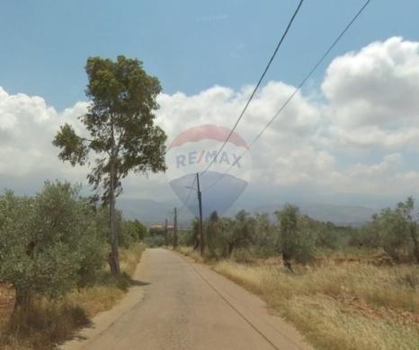 R9-3991 Land for Sale in Batroumine Koura | 1,800 m² | 15/30 Zoningأرض للبيع في بترومين ا… — 2