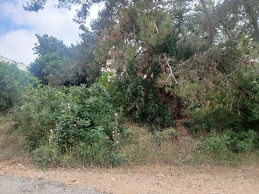 أرض سكنية للبيع في سهيلة 1380م² | 1,380sqm Residential Land for Sale in Soheileh — 3