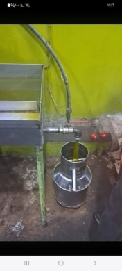 Original Olive Oil — 4