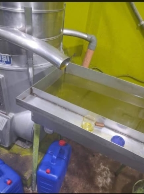 Original Olive Oil — 3