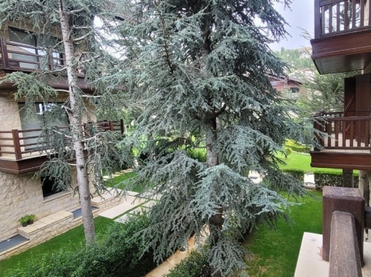 Furnished Chalet For Rent in Mazaar, Kfarzebian — 8