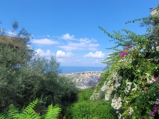 Unique Land For Sale in kfarhbeib — 2
