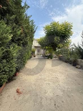 Charming Traditional Lebanese Independent House for Sale in Anqoun – Saida D… — 5