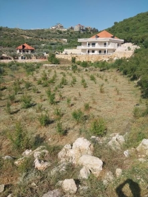 Distinctive Property on Main Road — 5