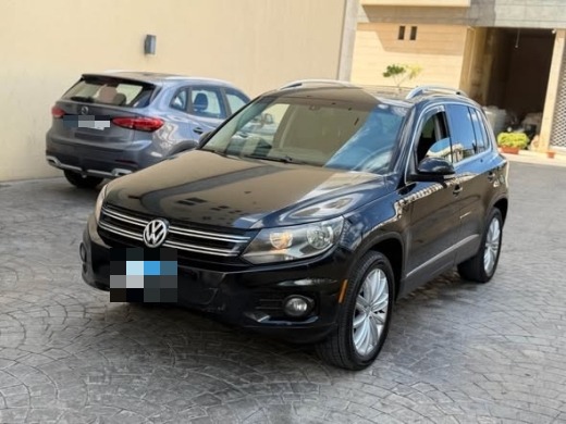 Volkswagen Tegwan 2013 — 2