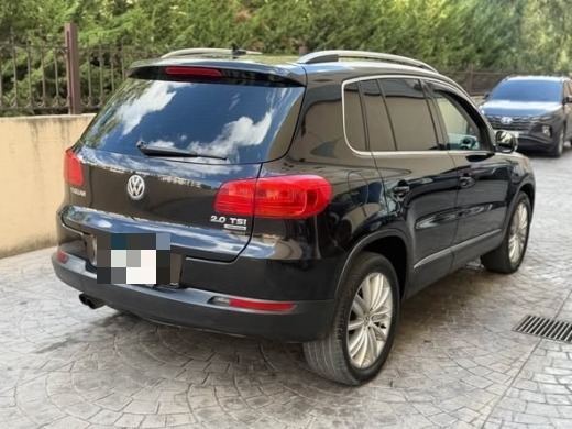 Volkswagen Tegwan 2013 — 4