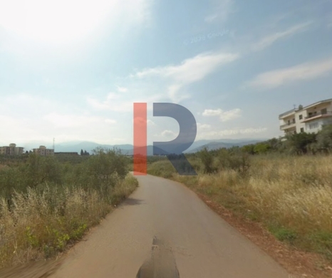 R9-4000 Agricultural Land for Sale in Bterram Koura | 735 m² with Olive Trees — 3