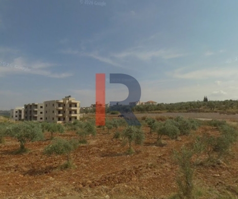 R9-4000 Agricultural Land for Sale in Bterram Koura | 735 m² with Olive Trees — 2