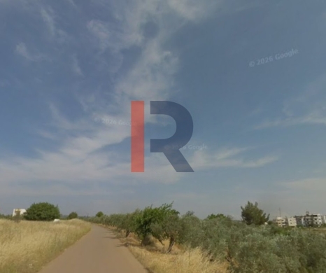 R9-4000 Agricultural Land for Sale in Bterram Koura | 735 m² with Olive Trees