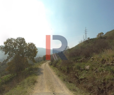 R9-4005 Land for Sale in Charbila Akkar | 16,700 m² | Ideal for Guest House & Tourism … — 3