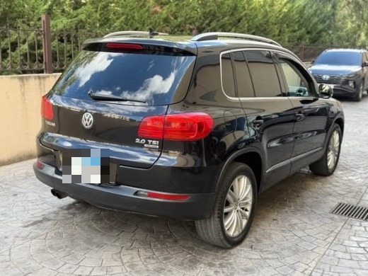 Volkswagen (Tegwan) 2013 — 4