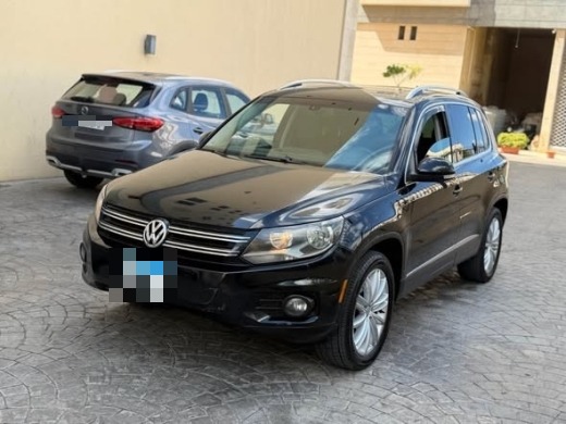 Volkswagen (Tegwan) 2013 — 2