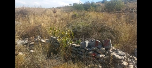 أرض للبيع في بطلون الشوف بمساحة 1501 م² | Prime Land for Sale in Btalloun Chouf 1501 sqm — 6