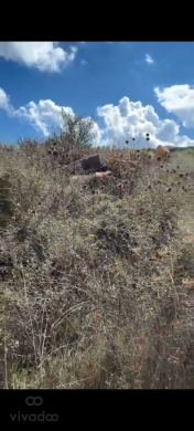 أرض للبيع في بطلون الشوف بمساحة 1501 م² | Prime Land for Sale in Btalloun Chouf 1501 sqm