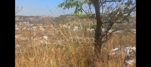 أرض للبيع في بطلون الشوف بمساحة 1501 م² | Prime Land for Sale in Btalloun Chouf 1501 sqm — 3