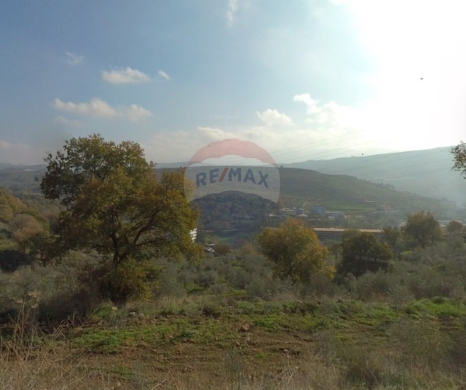 R9-4013 Agricultural Land for Sale in Charbila Akkar | 2,980 m² with Olive Trees & Barbecue Areaأرض زراعية للبيع في شربيلا عكار | 2,980 م² مزروعة بالزيتون مع جلسة شواء