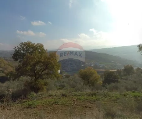 R9-4013 Agricultural Land for Sale in Charbila Akkar | 2,980 m² with Olive Trees & Barbecue Areaأرض زراعية للبيع في شربيلا عكار | 2,980 م² مزروعة بالزيتون مع جلسة شواء