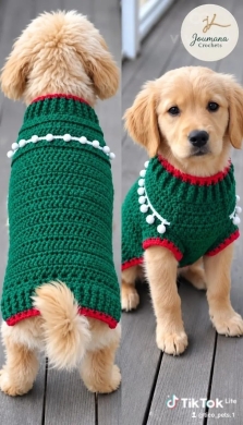 كنزة الكريسماس للحيوانات الأليفة | Handmade Pet Christmas Sweater