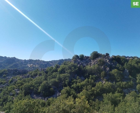 Exceptional opportunity to own 1,000 sqm of prime land in Feitroun REF#SE01901