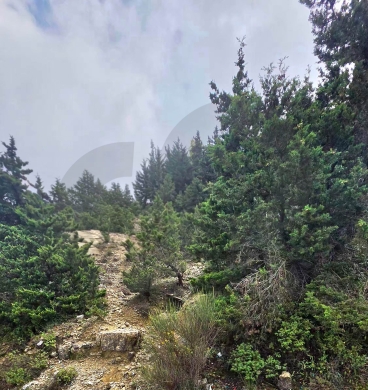 Land for Sale/Road Access/Mountain View/GHBELEH-KESEROUAN/غباله/REF#BT141606 — 3