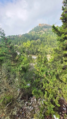 Land for Sale/Road Access/Mountain View/GHBELEH-KESEROUAN/غباله/REF#BT141606 — 2