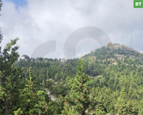 Land for Sale/Road Access/Mountain View/GHBELEH-KESEROUAN/غباله/REF#BT141606