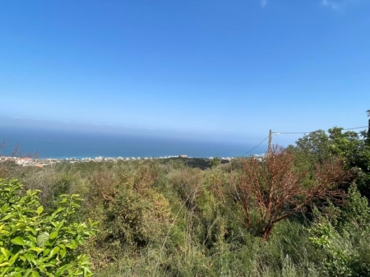2,450 SQM Land For Sale In Smar Jbeil, Batroun