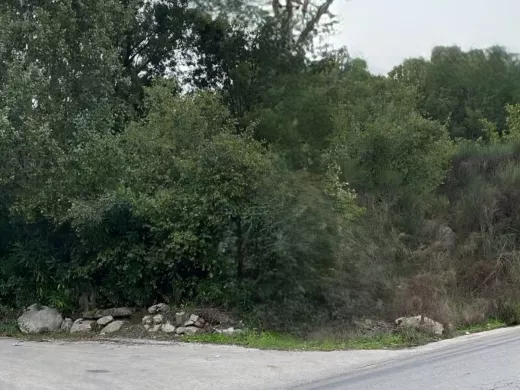 2,200 SQM Land in A Prime Location For Sale in Bikfaya