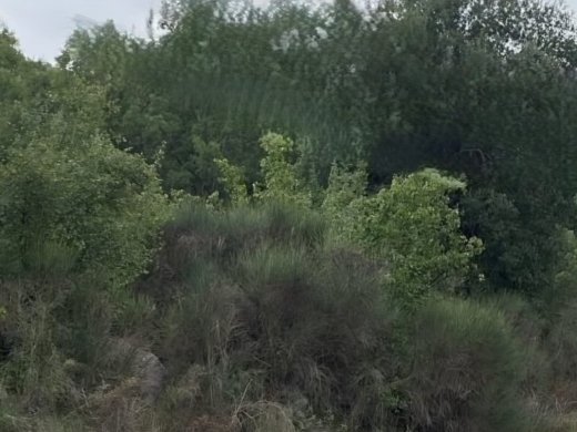 2,200 SQM Land in A Prime Location For Sale in Bikfaya — 3