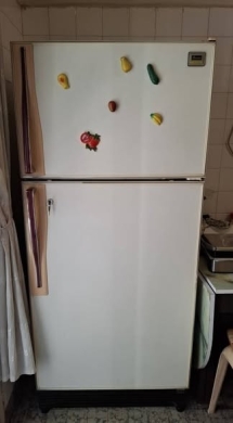 Mitsubishi 21ft Japanese Refrigerator
