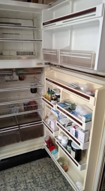 Mitsubishi 21ft Japanese Refrigerator — 5