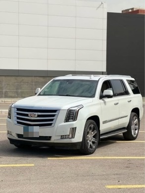 Cadillac Escalade Platinum 2017 — 3