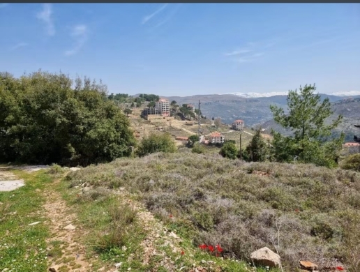 أرض للبيع في الدلهمية 5 عقارات مفروزة | 5 Subdivided Land Plots for Sale in Dalhamiyeh Sea View