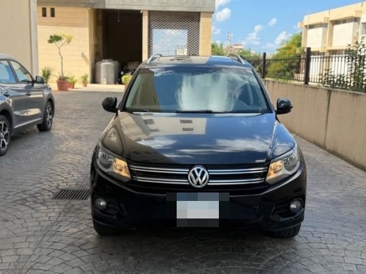 Volkswagen (Tegwan) 2013