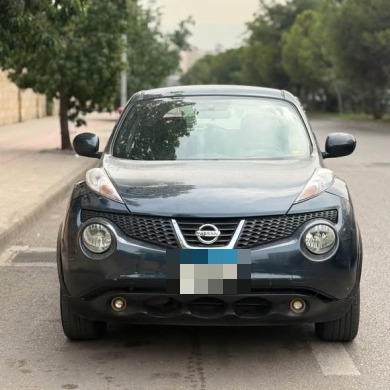 Nissan Juke AWD 4x4 2011 — 5