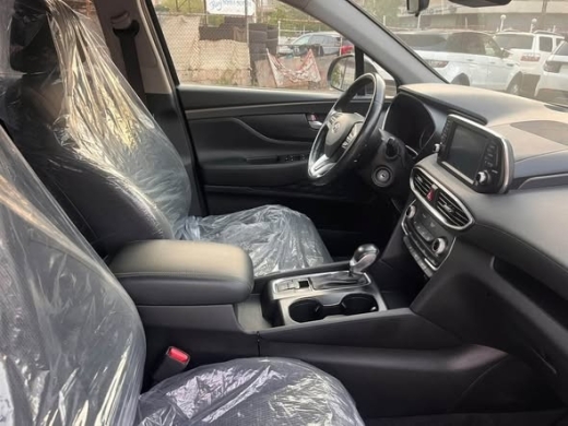 Hyundai Santa-Fe 2019 — 5