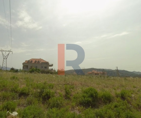 R9-4030 2,150m² Olive Grove Land for Sale in Kfar Saroun Koura | Zoning 25/50 — 2