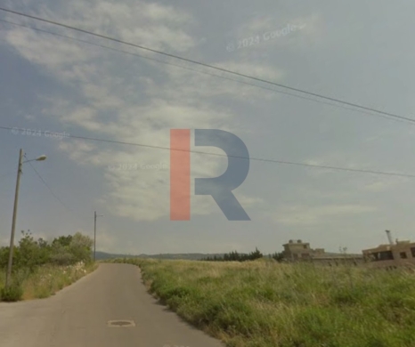 R9-4031 2,150m² Olive Grove Land for Sale in Kfar Saroun Koura | Zoning 25/50 — 3