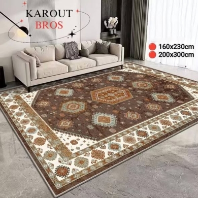 Luxury Modern Carpets — 4