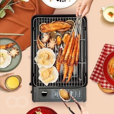 Portable Camping Grill Stove – Dual Flame, Carry Case & Drip Tray for Perfect Grilling — 3