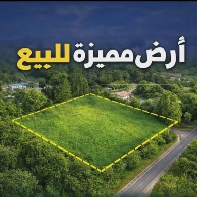 Land for sale in Deddeh, Koura
