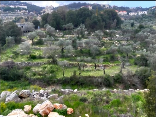 988 SQM Land For Sale In Batroun, Chabtine