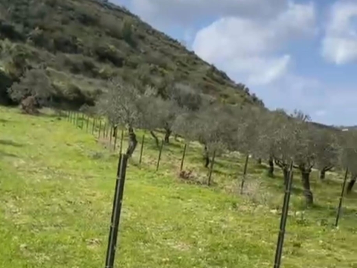 1,465 SQM Land For Sale In Kfifan — 2