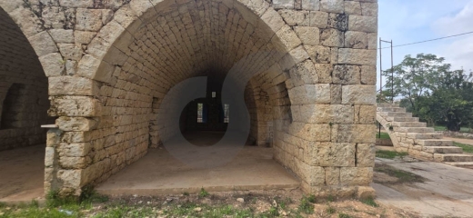 old house/Traditional/ private garden/relaxing location/BESHMEZZINE, KOURA/بشمزين /REF#… — 2
